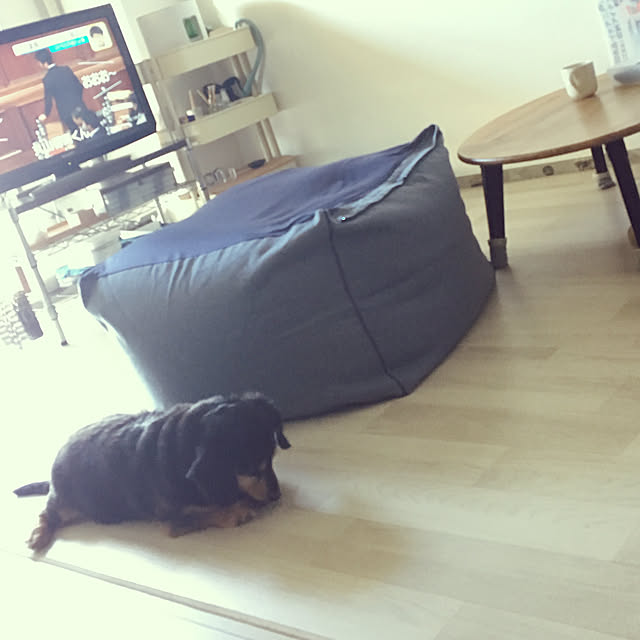 ohanaさんの実例写真