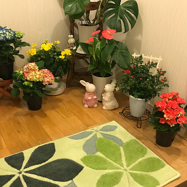 emikoさんの実例写真