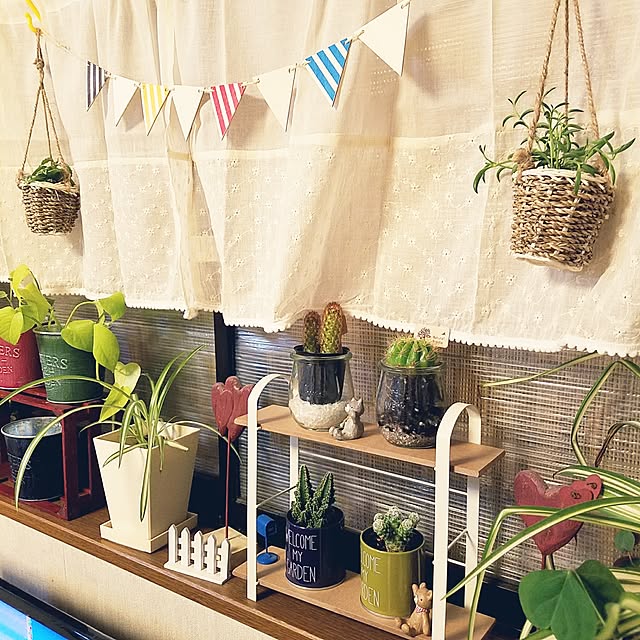 部屋全体/植物/日替わり投稿企画!木曜日/100均雑貨/100均大好き...などのインテリア実例 - 2017-05-11 20:01:40