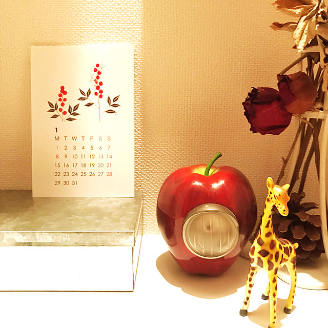 SRさんの実例写真