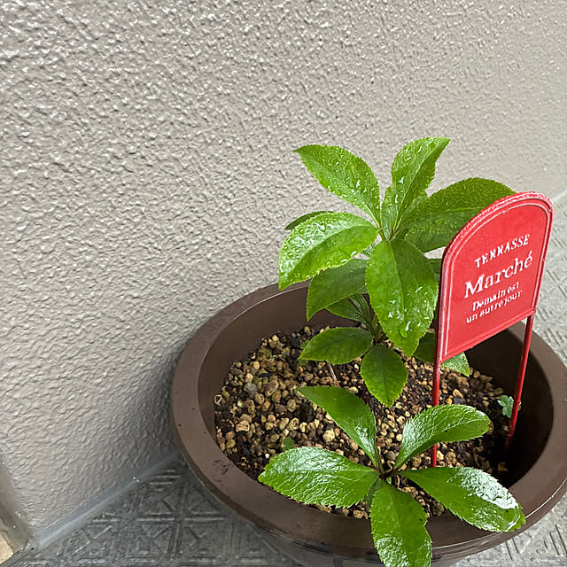 cagosukiさんの実例写真