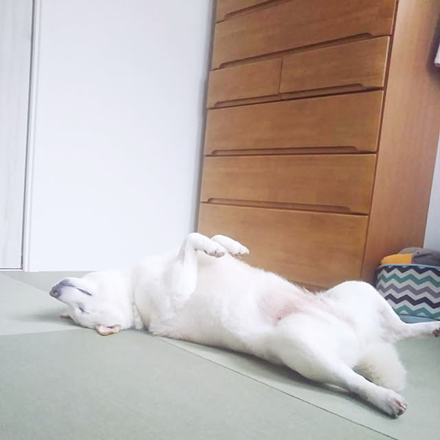 yukinkoさんの実例写真