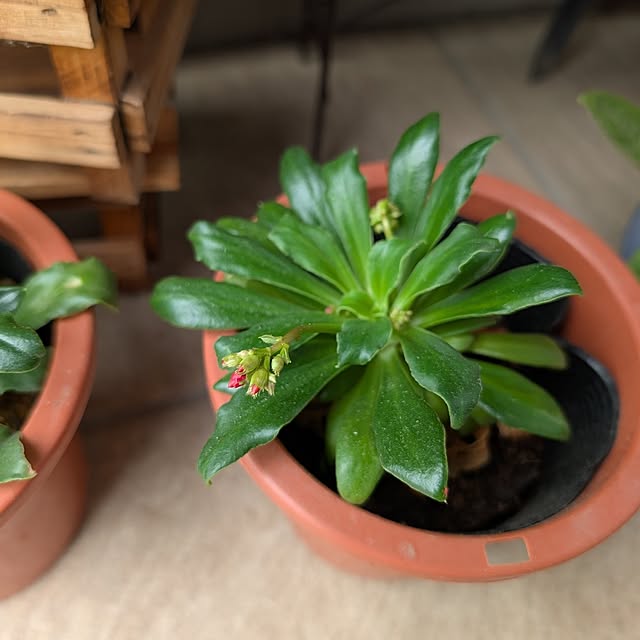 KOHAKUさんの部屋