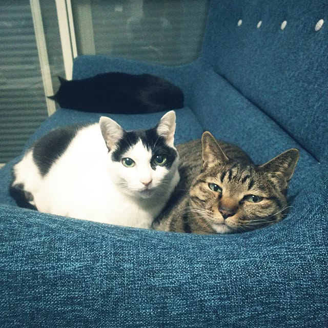 takahiroさんの実例写真
