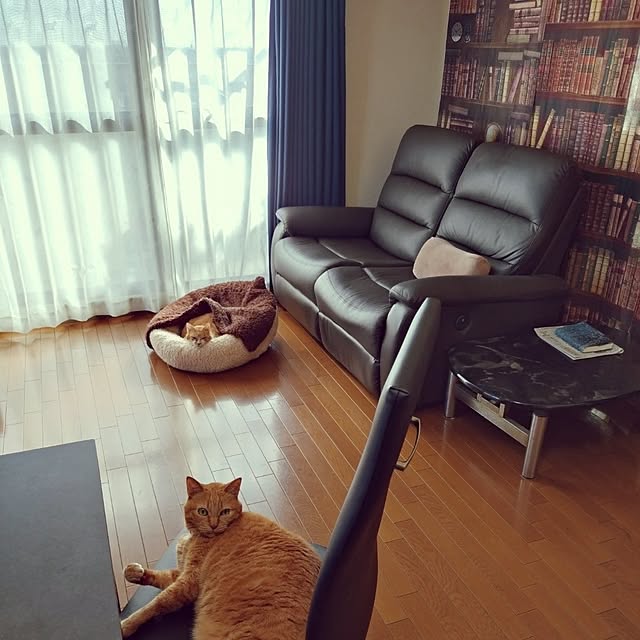 NOAHさんの部屋