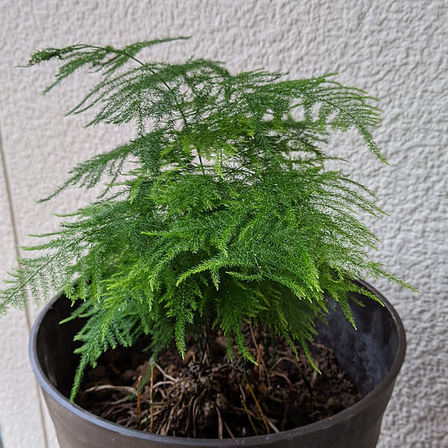 kouheiyuto24623takaさんの実例写真