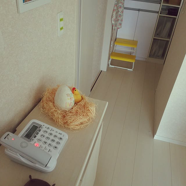 ekkoさんの実例写真