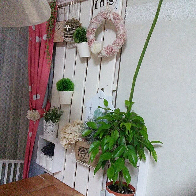 sachiさんの実例写真