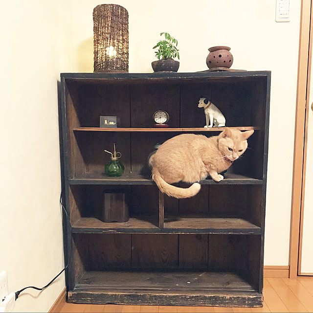 mikan161さんの実例写真
