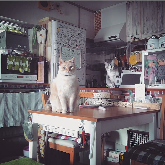 mntcさんの実例写真