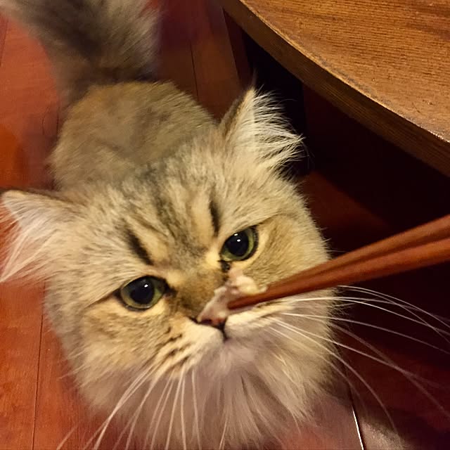 butachanさんの実例写真