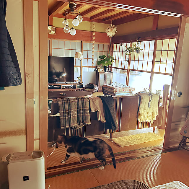 choroさんの実例写真