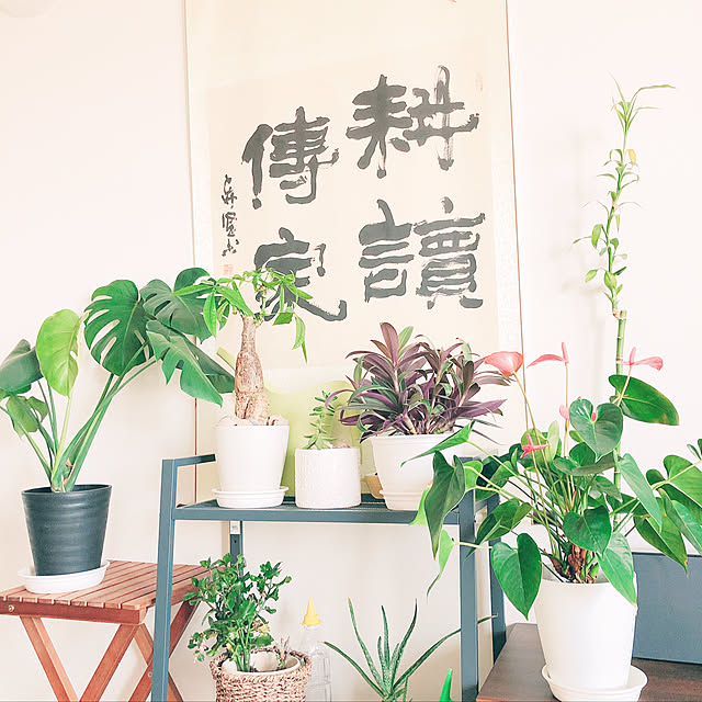 yinghua0601さんの実例写真