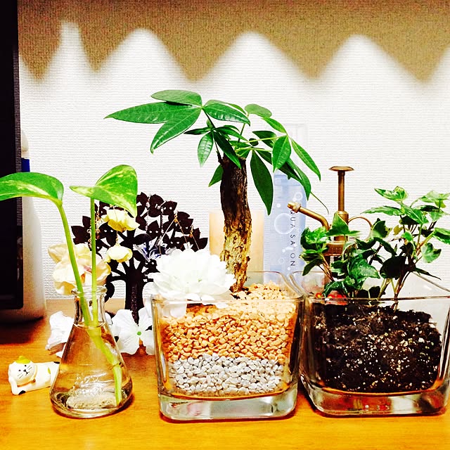 yk0127さんの実例写真
