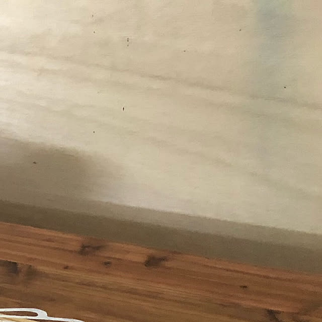 aqunosさんの実例写真