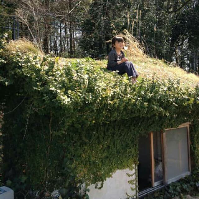 屋上庭園/緑化/屋上緑化/壁面緑化/小屋...などのインテリア実例 - 2015-11-08 23:41:22