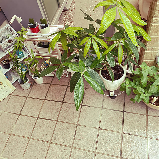 moolさんの実例写真