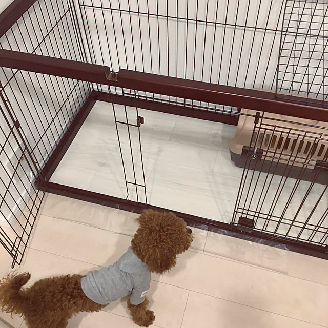 Hiromiさんの実例写真