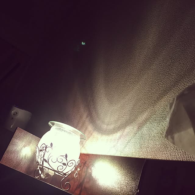 satanさんの実例写真