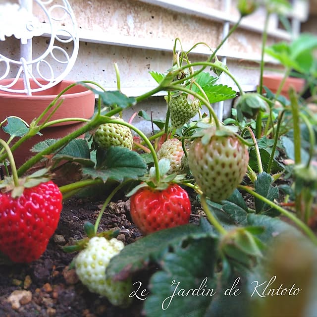 kintoto07さんの実例写真