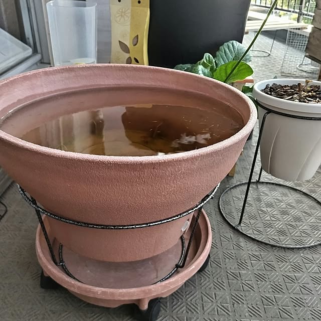 mi-saさんの部屋