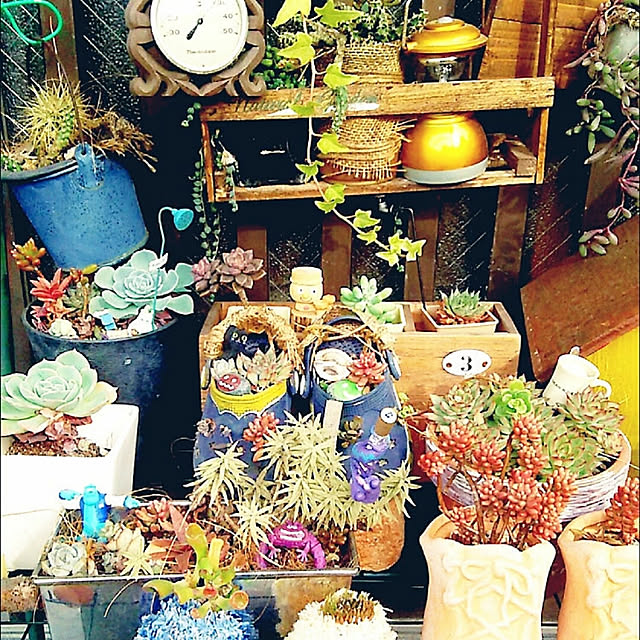 batamarucoさんの実例写真