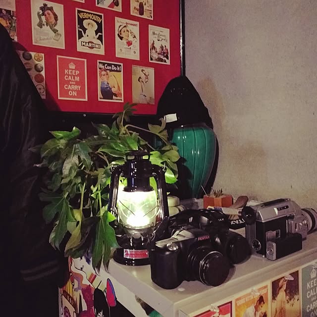 higemanさんの実例写真