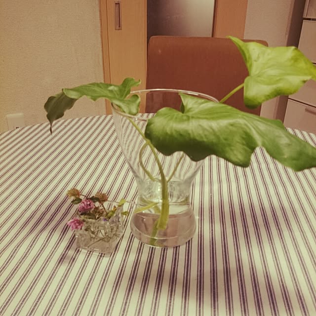 chatさんの実例写真