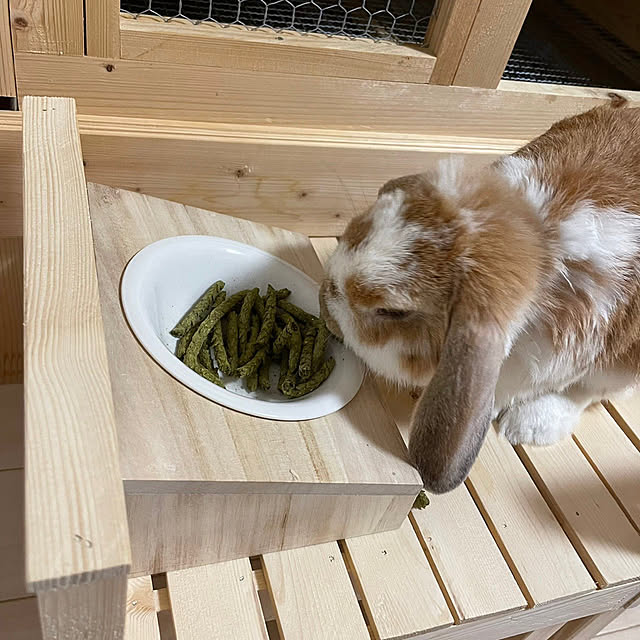 RABIHAさんの実例写真