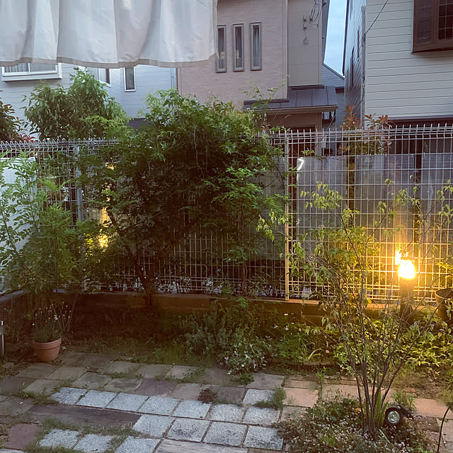 shizu2380さんの実例写真