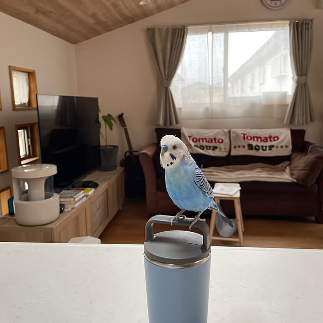 nahonさんの実例写真