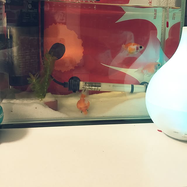 knkさんの実例写真