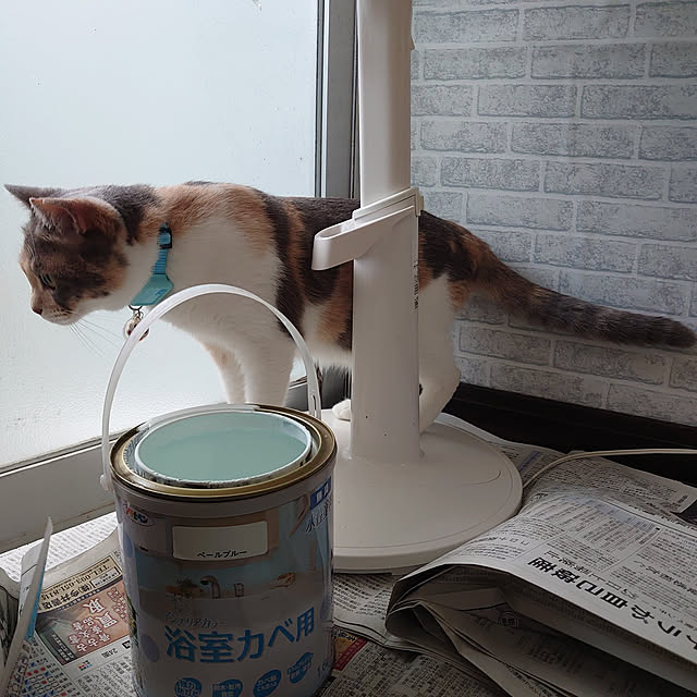 fukuさんの実例写真