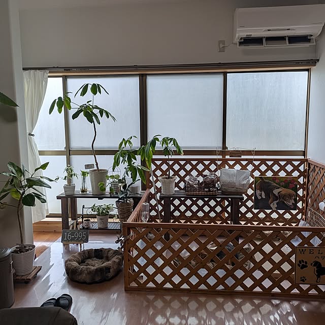 y.k.m.d.yさんの実例写真