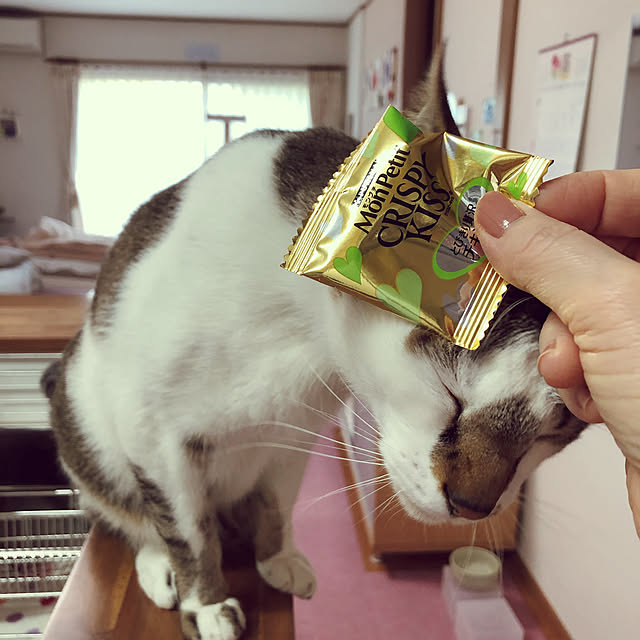 haruminさんの実例写真