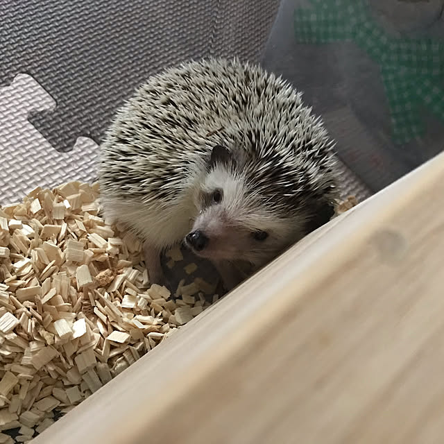 Miriさんの実例写真