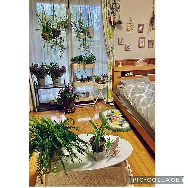 CoCo0617さんの部屋