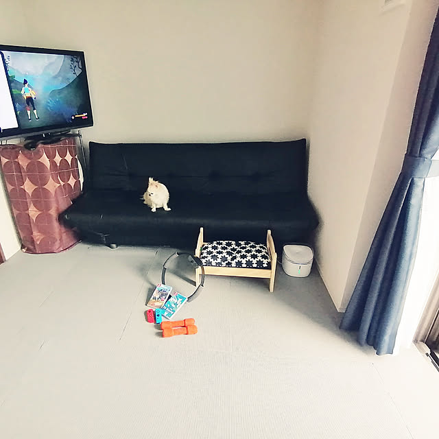 ponさんの実例写真