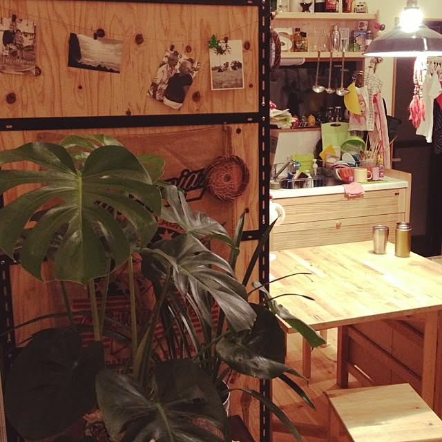 実例写真