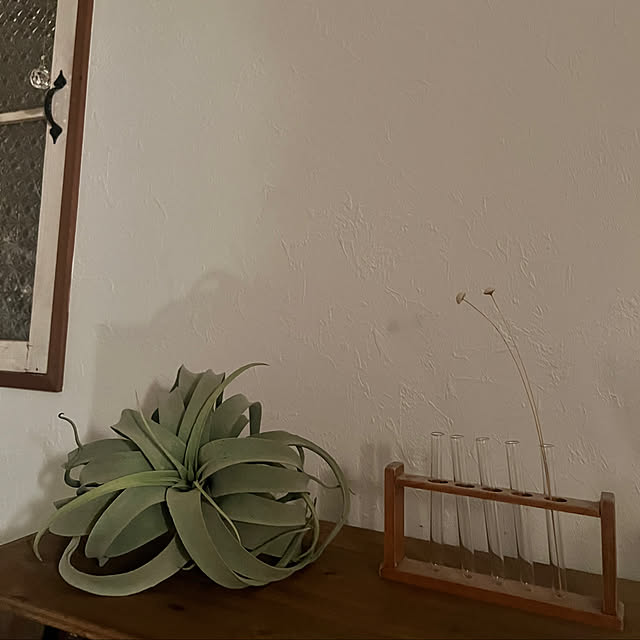 rookuさんの部屋