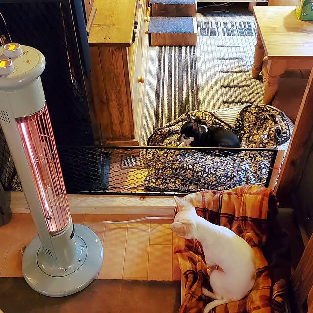maaaaroさんの実例写真