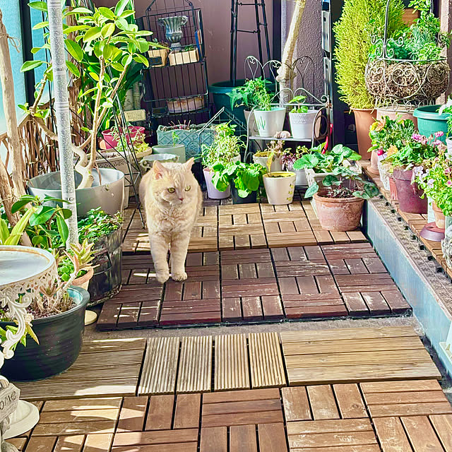 naokoさんの部屋