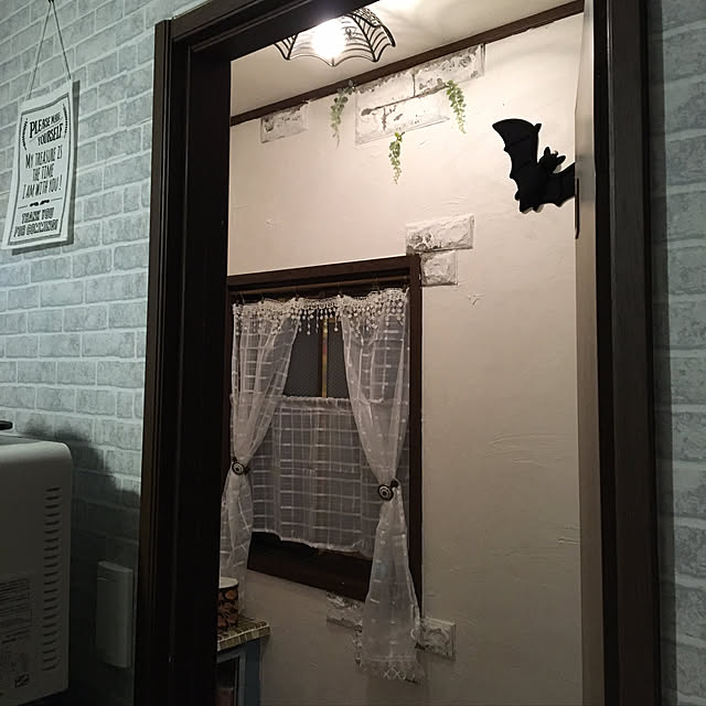 dainaoreiさんの実例写真