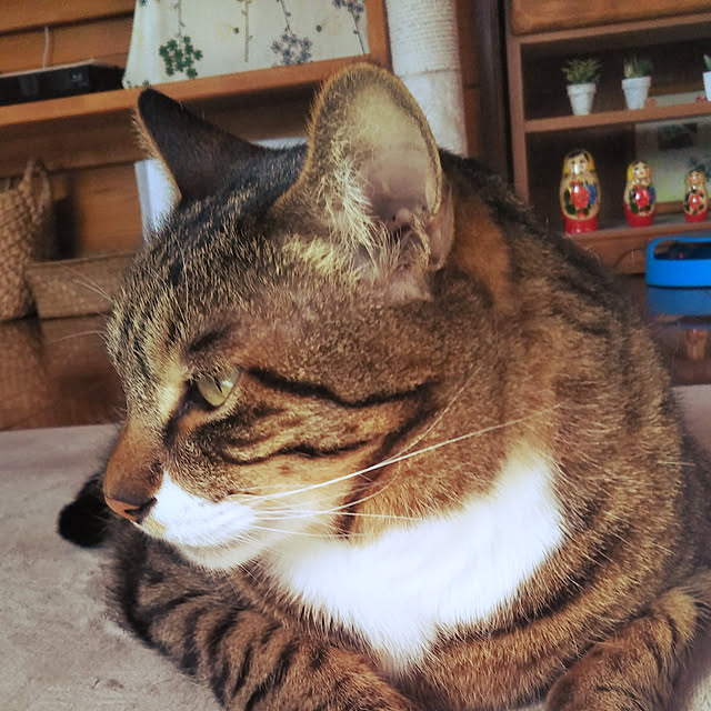 sho.27.yuki.11さんの実例写真