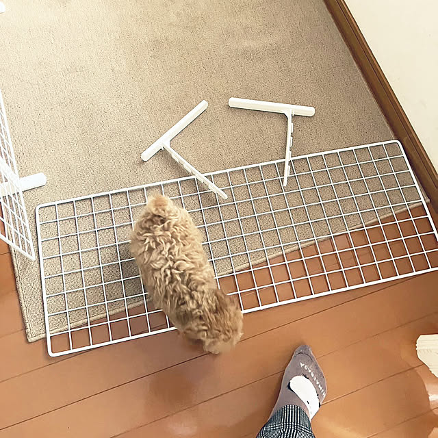 kawauso15さんの部屋