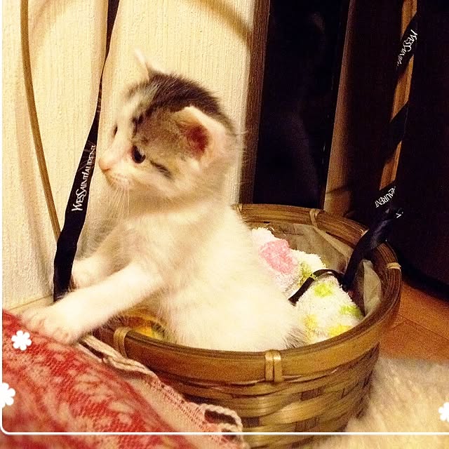 emmsさんの実例写真