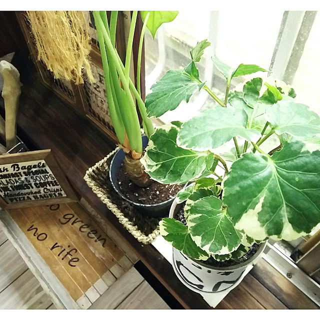 tomokaさんの実例写真
