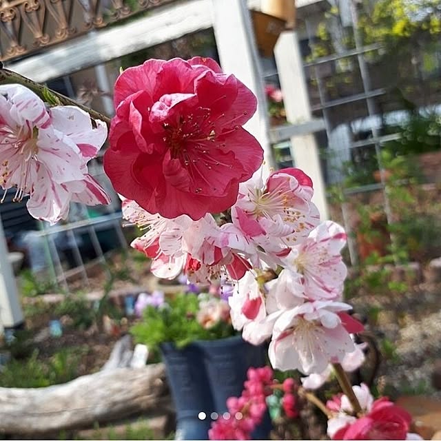 min_nimさんの部屋