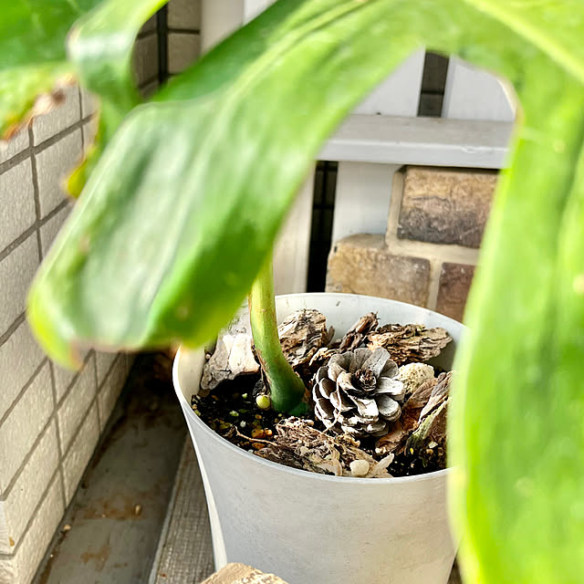 amさんの部屋