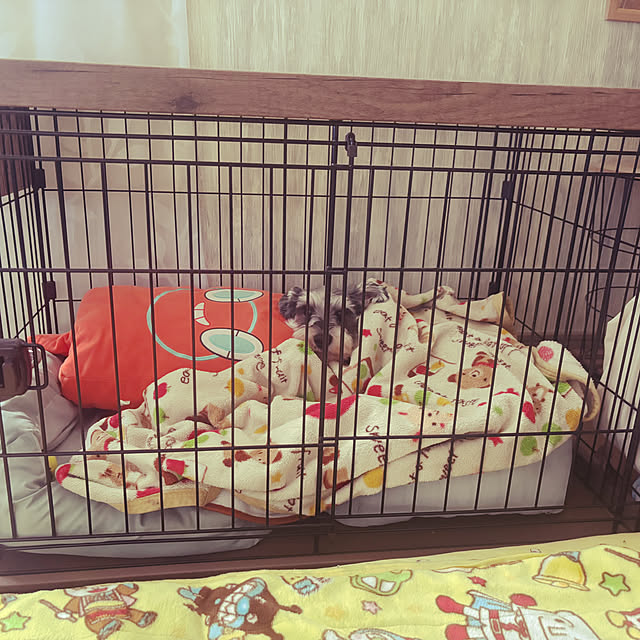 shunasoraさんの実例写真